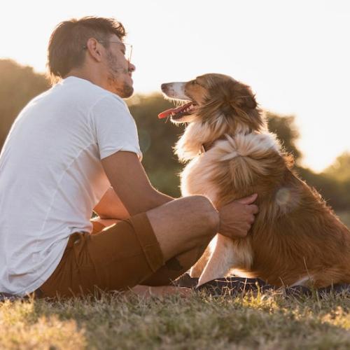 Dog Lovers